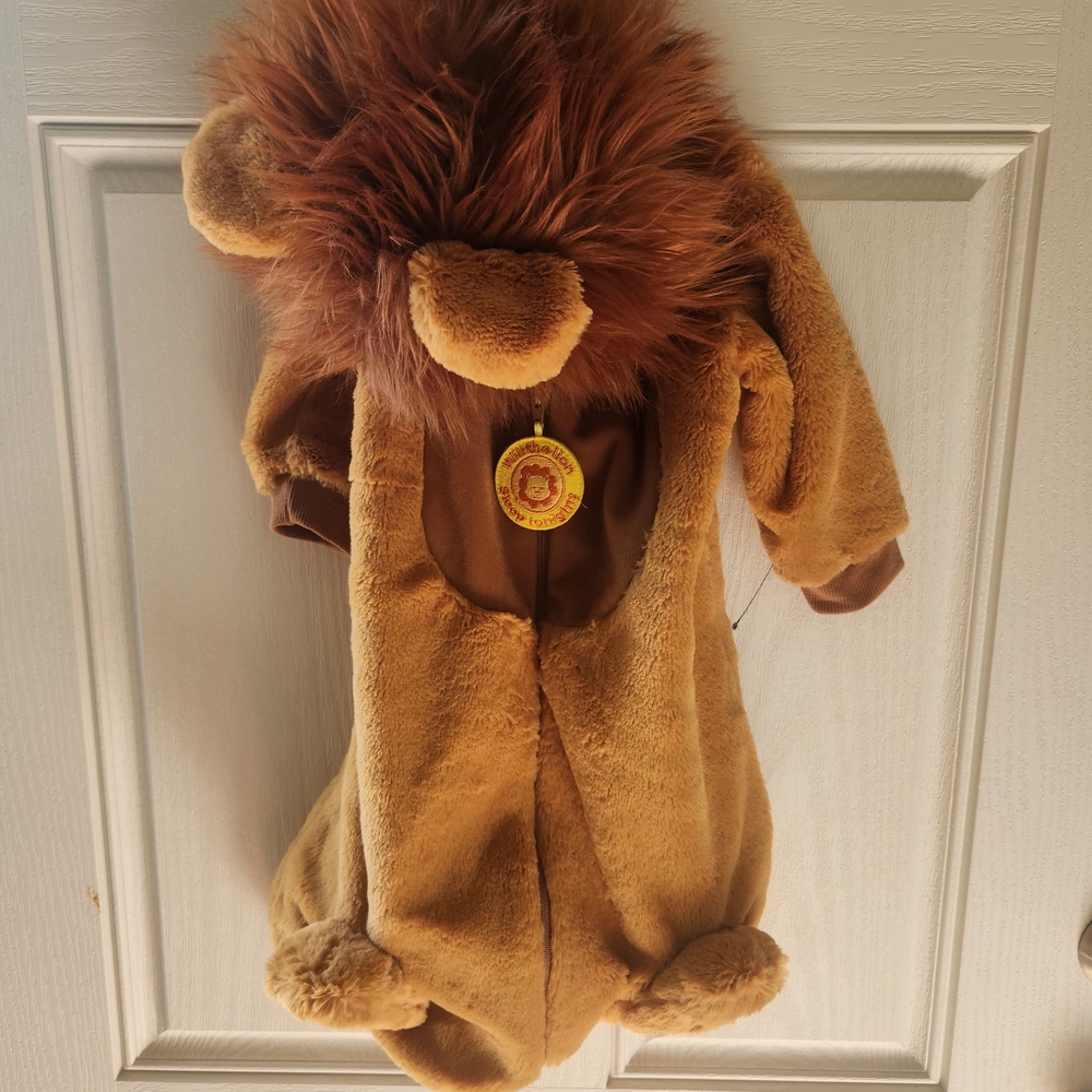 Adorable Baby Lion Costume